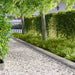 Tuinrand 30 st 103 x 20 cm metaal Zilverkleurig