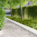 Tuinrand 20 st metaal