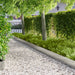 Tuinrand 20 st metaal