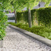 Tuinrand 10 st metaal