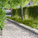 Tuinrand 10 st 103 x 30 cm metaal Zilverkleurig