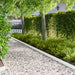 Gazonrand 30 st 103 x 10 cm Staal Wit