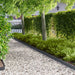 Gazonrand 30 st 103 x 10 cm Staal Antracietkleurig