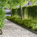 Gazonrand 20 st 103 x 10 cm Staal Olijfgroen