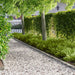 Gazonrand 20 st 103 x 10 cm Staal Zilverkleurig