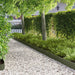 Gazonrand 10 st 103 x 15 cm Staal Olijfgroen