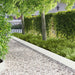 Gazonrand 30 st 103 x 20 cm Staal Wit