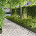 Gazonrand 10 st 103 x 20 cm Staal Olijfgroen