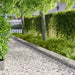 Gazonrand 10 st 103 x 25 cm Staal Zilverkleurig