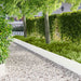 Gazonrand 20 st 103 x 30 cm Staal Wit