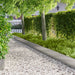 Gazonrand 20 st 103 x 30 cm Staal Zilverkleurig