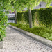 Gazonrand 20 st 103 x 30 cm Staal Zilverkleurig