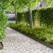 Gazonrand 50 st 103 x 10 cm Staal Olijfgroen