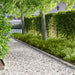 Gazonrand 20 st 103 x 10 cm Staal Zilverkleurig