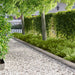 Gazonrand 30 st 103 x 15 cm Staal Zilverkleurig