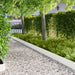 Gazonrand 10 st 103 x 20 cm Staal Wit