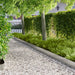 Gazonrand 10 st 103 x 20 cm Staal Zilverkleurig
