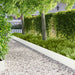 Gazonrand 20 st 103 x 25 cm Staal Wit