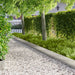 Gazonrand 20 st 103 x 25 cm Staal Zilverkleurig