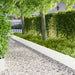 Gazonrand 10 st 103 x 30 cm Staal Wit