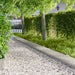 Gazonrand 10 st 103 x 30 cm Staal Zilverkleurig