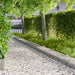 Gazonrand 20 st 103 x 30 cm Staal Zilverkleurig