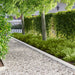 Gazonrand 20 st 100 x 12 cm Staal Wit