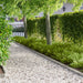 Gazonrand 30 st 100 x 12 cm Staal Zilverkleurig