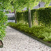 Gazonrand 50 st 100 x 15 cm Staal Olijfgroen