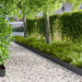 Gazonrand 10 st 100 x 20 cm Staal Zwart
