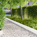 Gazonrand 30 st 100 x 25 cm Staal Wit