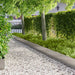 Gazonrand 30 st 100 x 30 cm Staal Zilverkleurig