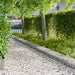 Gazonrand 20 st 100 x 30 cm Staal Zilverkleurig