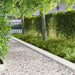 Gazonrand 30 st 103 x 20 cm Staal Wit