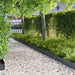 Gazonrand 30 st 103 x 20 cm Staal Antracietkleurig