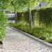 Gazonrand 10 st 103 x 20 cm Staal Zilverkleurig