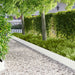 Gazonrand 30 st 103 x 25 cm Staal Wit