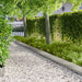 Gazonrand 20 st 103 x 25 cm Staal Zilverkleurig
