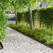 Gazonrand 50 st 102 x 4 x 4 cm Staal Zwart