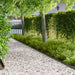 Gazonrand 20 st 102 x 4 x 4 cm Staal Olijfgroen