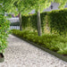 Gazonrand 30 st 102 x 10 x 4 cm Staal Olijfgroen