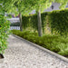Gazonrand 20 st 102 x 10 x 4 cm Staal Zilverkleurig
