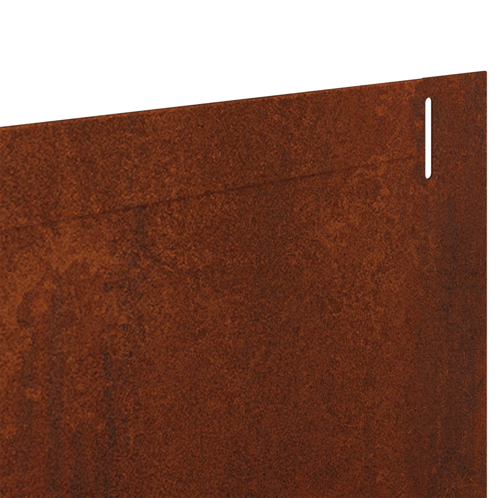 Gazonrand 10 st 102 x 10 x 4 cm Staal Roestig