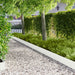 Gazonrand 20 st 102 x 15 x 4 cm Staal Wit