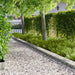 Gazonrand 30 st 102 x 15 x 4 cm Staal Zilverkleurig