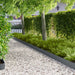 Gazonrand 30 st 100 x 12 cm Staal Antraciet