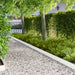 Gazonrand 30 st 100 x 15 cm Staal Wit