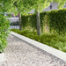 Gazonrand 10 st 100 x 18 cm Staal Wit