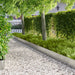 Gazonrand 10 st 100 x 18 cm Staal Zilverkleurig