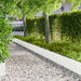 Gazonrand 10 st 100 x 22 cm Staal Wit
